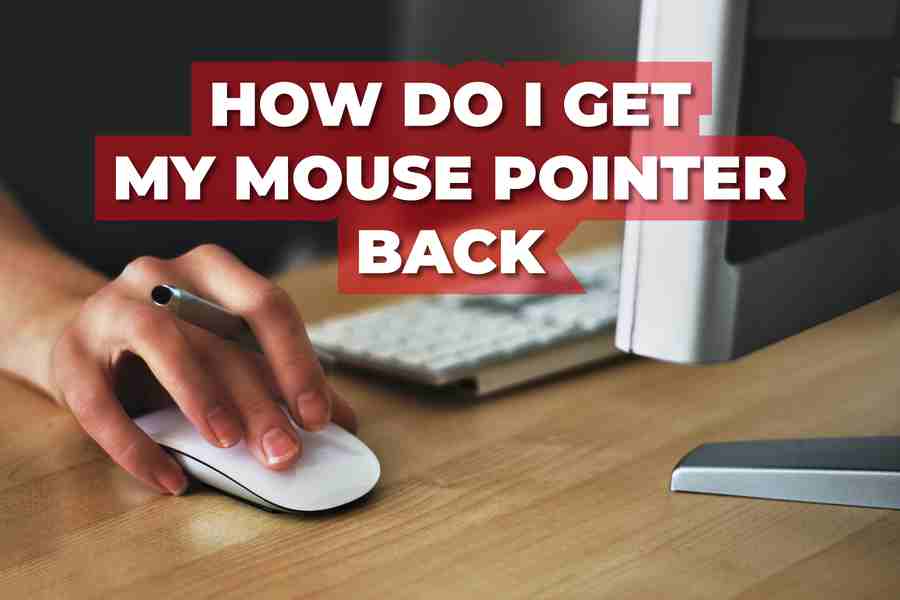 How Do I Get My Mouse Pointer Back Ultimate Guide